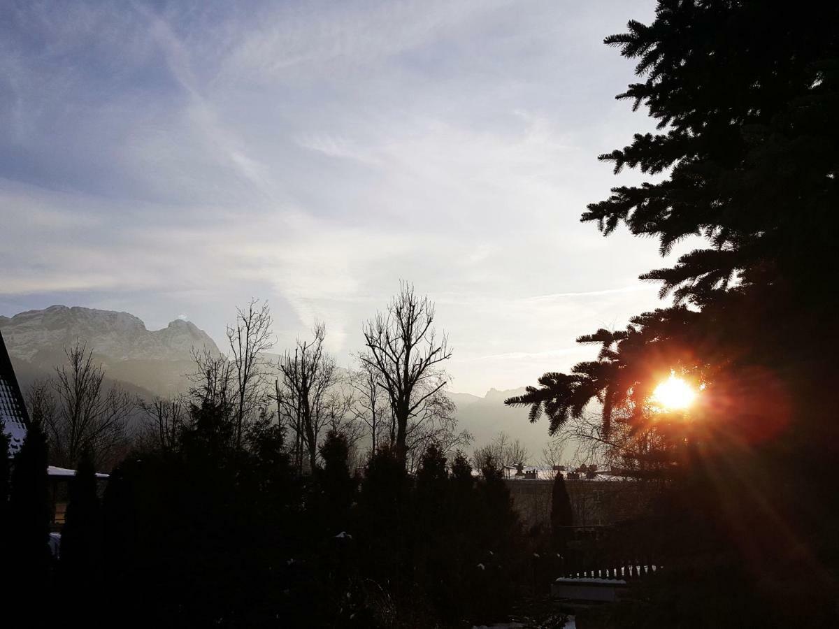 Pokoje Goscinne Wilcznik 12 Zakopane Exterior foto