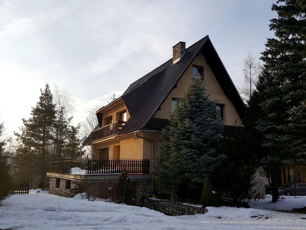 Pokoje Goscinne Wilcznik 12 Zakopane Exterior foto